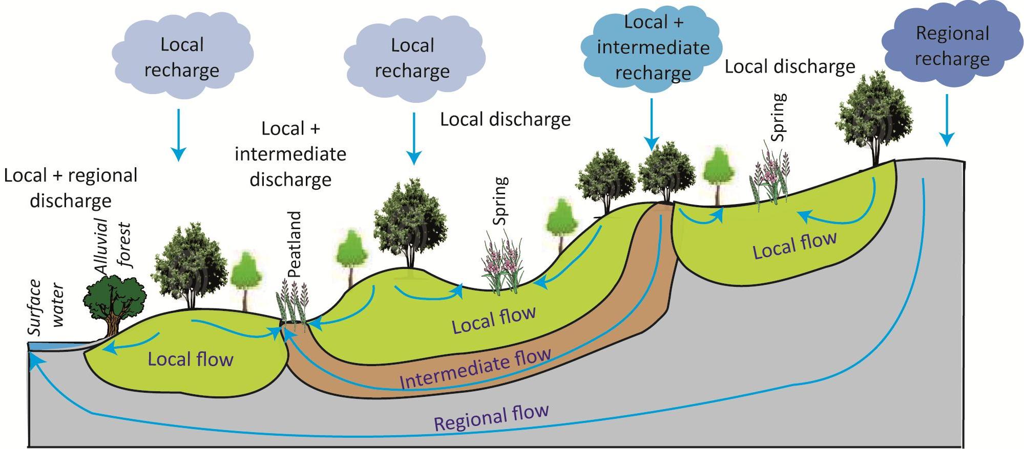 Abbildung Grundwasser Ökologie